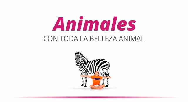 Comprar Vinilos Animales