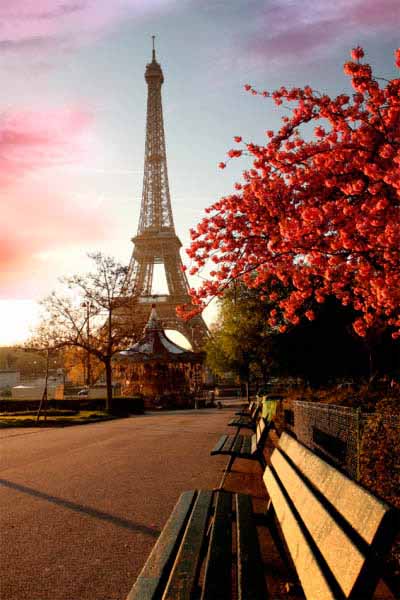 Fotomural de Sitios Famosos - Torre Eiffel en París