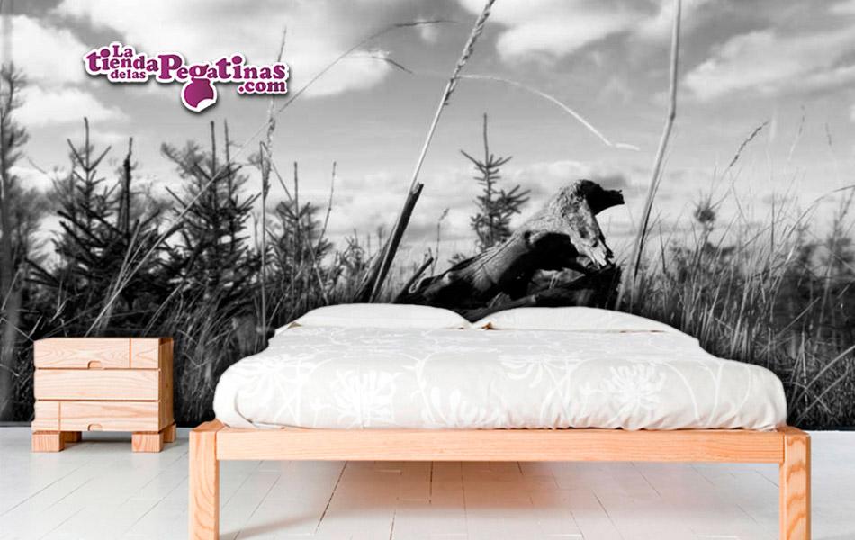 Fotomural Campo en otoño