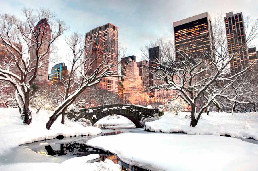 https://www.latiendadelaspegatinas.com/uploads/fotomurales-decorativos-new-york-FM-ny-0008-invierno-en-central-park-BASE_16ae3.jpg