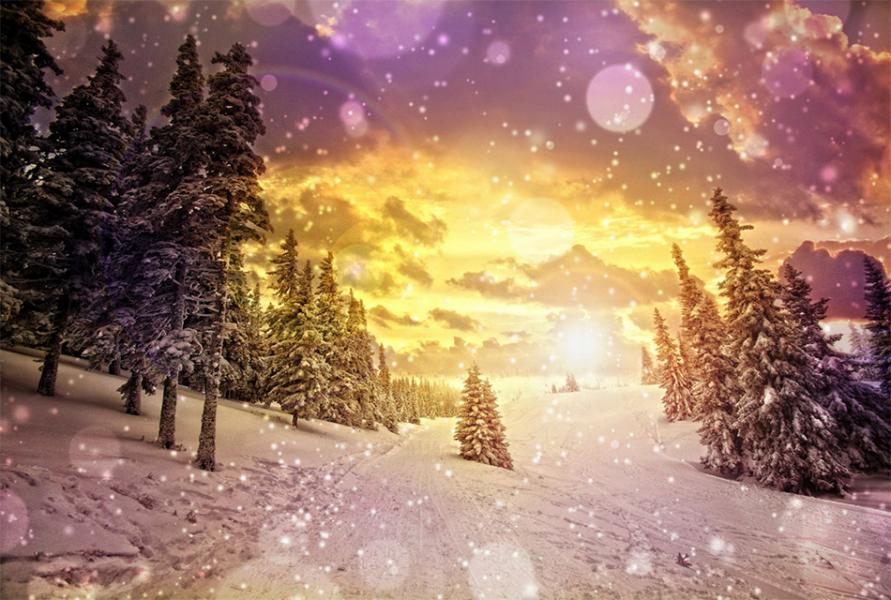 https://www.latiendadelaspegatinas.com/uploads/fotomurales-decorativos-paisajes-FM-pai-0005-paisaje-nevado-BASE_c9736.jpg