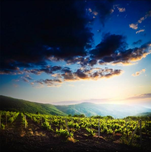 https://www.latiendadelaspegatinas.com/uploads/fotomurales-decorativos-paisajes-FM-pai-0006-nubes-sobre-el-viedo-BASE_3972d.jpg