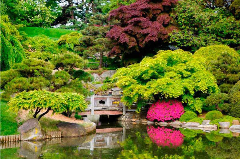 https://www.latiendadelaspegatinas.com/uploads/fotomurales-decorativos-zen-y-relax-FM-zn-0001-jardin-japones-base_55985.jpg