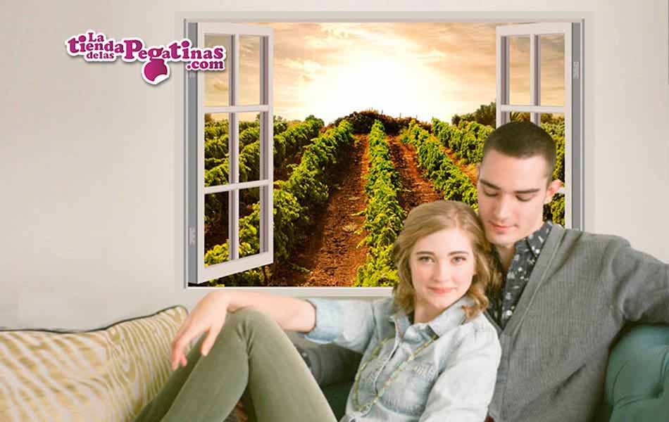 Vinilo Ventana a la huerta